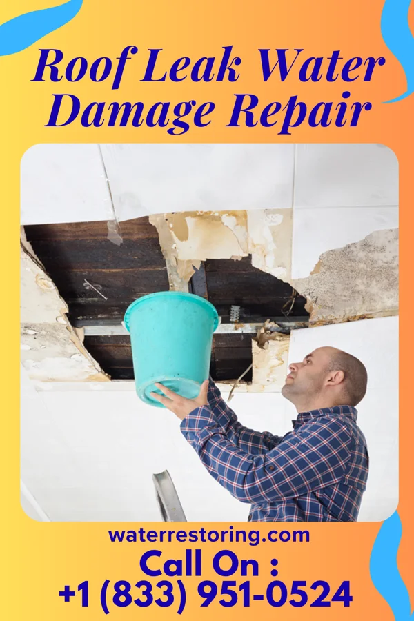 Roof Leak Water Damage Repair in Southside Place, TX